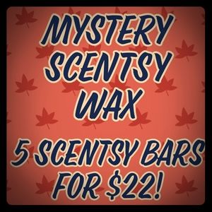 5 Mystery Scentsy Bars